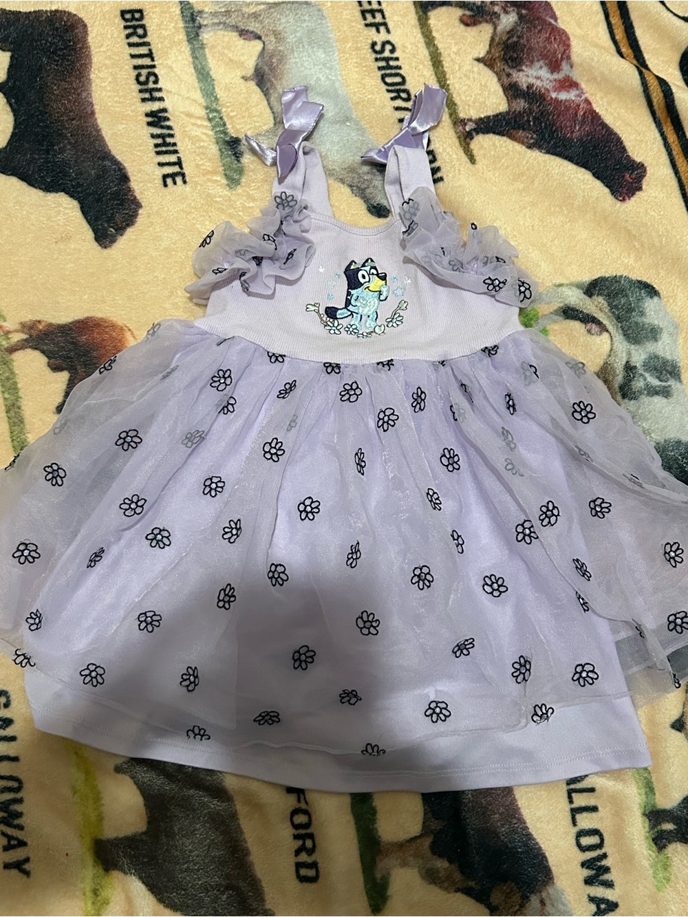 Lilac Tulle Floral Toddler Dress with bluey